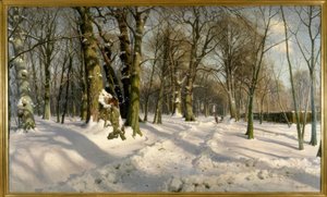 Verschneiter Winterwald im Sonnenlicht
