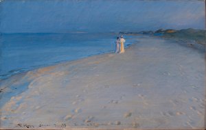 Tanskalainen:  Skagenin etelärannalla. Anna Ancher ja Marie Kesäilta Skagenin Etelärannalla. Anna Ancher ja Marie Krøyer

 (tutkimus) tekijältä Peder Severin Krøyer