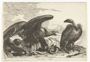 Korppikotka ja kotka käärmeellä 1. des Aigles 2. Griffon (otsikko esineessä) Birds from the Menagerie of Versailles (sarjan nimi)