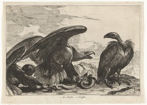 Korppikotka ja kotka käärmeellä 1. des Aigles 2. Griffon (otsikko esineessä) Birds from the Menagerie of Versailles (sarjan nimi)