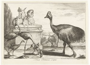 Kasuat, violetti noki ja flamingot 1. Bleuets 2 Becharoux 3. Casuels (otsikko esineessä) Birds from the Menagerie of Versailles (sarjan nimi)