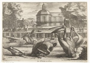 pelikaanit des Pelicans de Mere (otsikko esineessä) Birds from the Menagerie of Versailles (sarjan nimi)