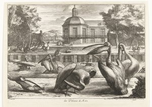 pelikaanit des Pelicans de Mere (otsikko esineessä) Birds from the Menagerie of Versailles (sarjan nimi)