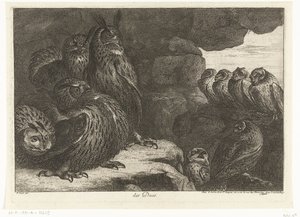 Pöllöt luolassa des Ducs (otsikko esineessä) Birds from the Menagerie of Versailles (sarjan nimi)