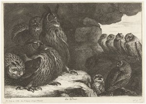 Pöllöt luolassa des Ducs (otsikko esineessä) Birds from the Menagerie of Versailles (sarjan nimi)