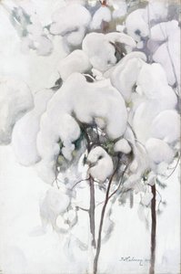 Lumipeitteisiä männyn taimia tekijältä Pekka Halonen