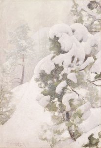 Talvimaisema tekijältä Pekka Halonen