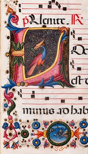 Piccolomini-kirjasto: kuorokirja, turska. 5.E, ff. 63r "Foliated nimikirjain", kirjoittanut Pellegrino di Mariano. Yksityiskohta.
