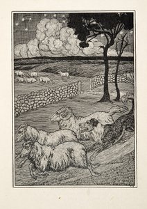 A Canine Sheep Stealer, kirjasta A Hundred Anecdotes of Animals, pub. 1924 tekijältä Percy J. Billingshurst