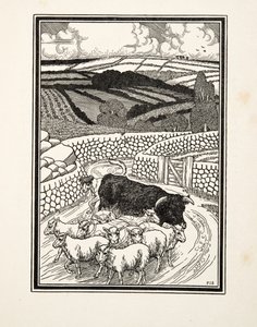 Going to Market, pubista Sata anekdoottia eläimistä. 1924 tekijältä Percy J. Billingshurst