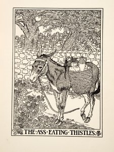 Aasi syö ohdakkeita, julkaisusta A Hundred Fables of Aesop, pub.1903