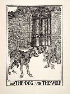 Koira ja susi, julkaisusta A Hundred Fables of Aesop, pub.1903 (kaiverrus) tekijältä Percy J. Billingshurst
