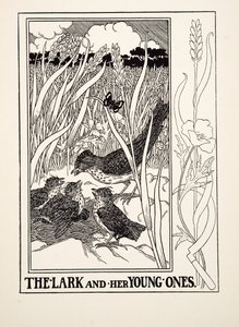 The Lark and her Young Ones, julkaisusta A Hundred Fables of Aesop, pub.1903 (kaiverrus) tekijältä Percy J. Billingshurst