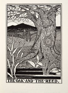 Tammi ja ruoko, Fontainen saduista, pub. 1905