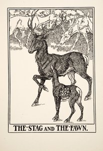 The Stag and the Fawn, julkaisusta A Hundred Fables of Aesop, pub.1903