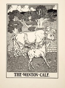 The Wanton Calf, sarjasta A Hundred Fables of Aesop, pub.1903