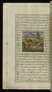 Saakaali nielee jäniksen Lights of Canopuksen vuodelta 1847 tekijältä Persian School