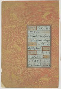 Kalligrafian folio, Iran, Safavid-dynastia (muste, läpinäkymätön akvarelli ja kulta paperille)