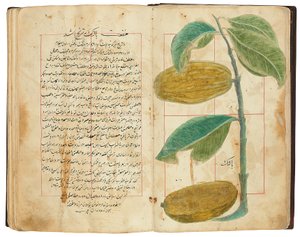 Hassan Bin Baqir Bin Jarrah: Ghalzar Al-Raihain, Qajar Iran tekijältä Persian School