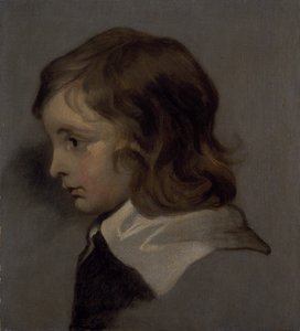 Nuoren pojan pää (öljy kankaalle) tekijältä Peter (follower of) Lely