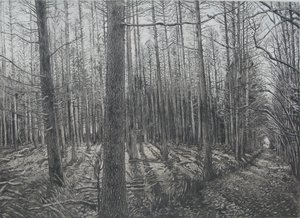 Talven aurinko