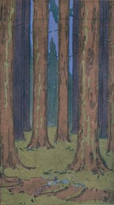 Metsä, 1901