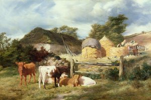 Highland Croft, 1873