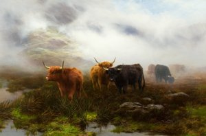 Moorland ja Mist