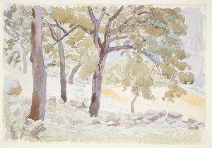 Metsän reuna tekijältä Peter Hansen