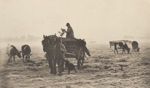 Pakkas aamu tekijältä Peter Henry Emerson