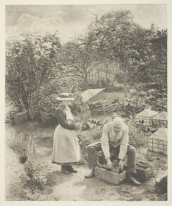 Puutarhan pää (Suffolk) tekijältä Peter Henry Emerson