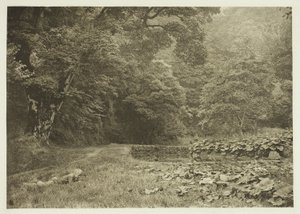 Hiljainen nurkka Beresford Dalen kaupungissa tekijältä Peter Henry Emerson