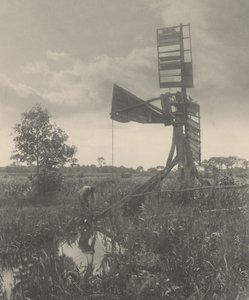 Pilaantunut vesimylly tekijältä Peter Henry Emerson