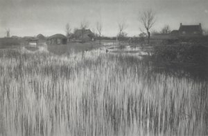 Kiireinen ranta tekijältä Peter Henry Emerson