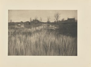 A Rushy Shore tekijältä Peter Henry Emerson