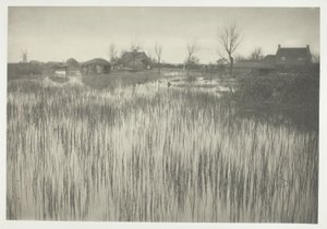 A Rushy Shore tekijältä Peter Henry Emerson