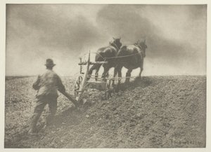 Jäykkä veto, (Suffolk) tekijältä Peter Henry Emerson