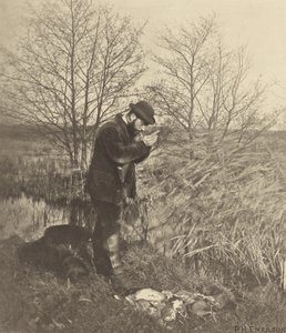 Salaisessa kulmassa. [Norfolk.] tekijältä Peter Henry Emerson