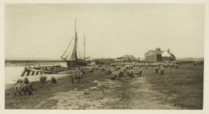 Blackshore, Blythe-joki (Suffolk) tekijältä Peter Henry Emerson