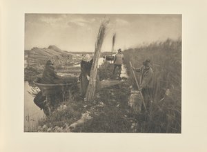 Ruovikon korjuun aikana tekijältä Peter Henry Emerson