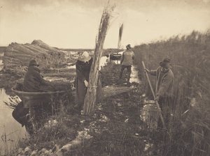  tekijältä Peter Henry Emerson