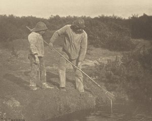 Ankeriaspoiminta Suffolkin vesillä tekijältä Peter Henry Emerson