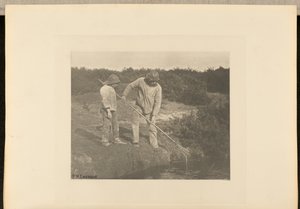 Ankeriaspoiminta Suffolkin vesillä tekijältä Peter Henry Emerson