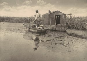  tekijältä Peter Henry Emerson