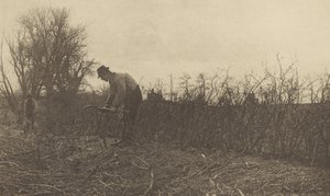 Aitaaminen Suffolkissa tekijältä Peter Henry Emerson