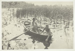 Vesililjojen kerääminen tekijältä Peter Henry Emerson