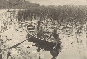 Vesililjojen kerääminen tekijältä Peter Henry Emerson