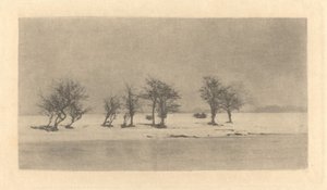 Piikki-orjanpuut tekijältä Peter Henry Emerson