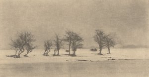 piikkipiikkipuut, n. 1890, painettu n. 1895. tekijältä Peter Henry Emerson