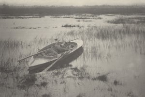Tykkimies työskentelemässä linnun kanssa,1886 (kuva) tekijältä Peter Henry Emerson